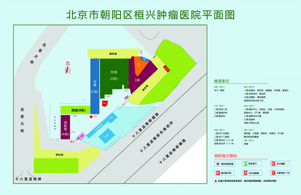 肛交网站在线免费北京市朝阳区桓兴肿瘤医院平面图